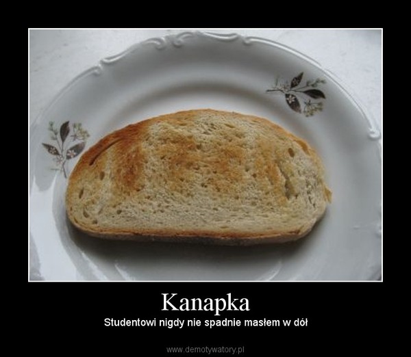 Kanapka – Studentowi nigdy nie spadnie masłem w dół 