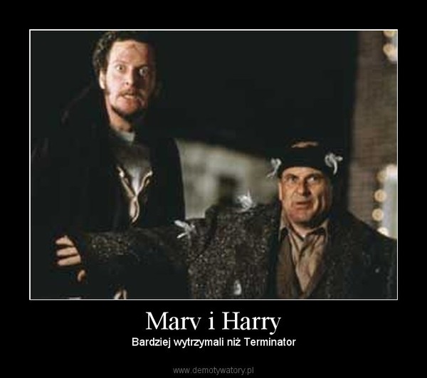 Marv i Harry – Bardziej wytrzymali niż Terminator 
