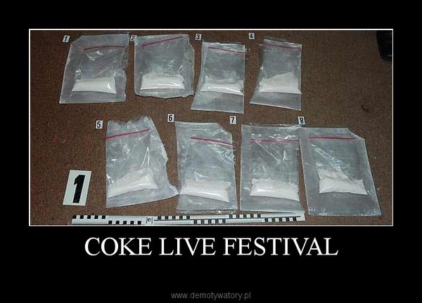 COKE LIVE FESTIVAL –   
