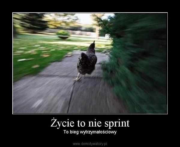 Życie to nie sprint – To bieg wytrzymałościowy 