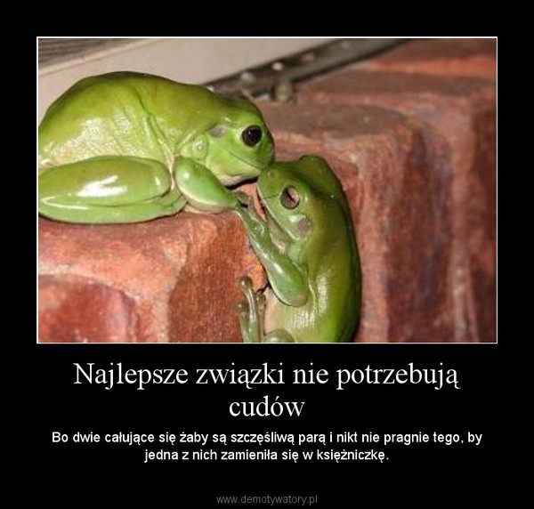 Najlepsze związki nie potrzebują cudów – Bo dwie całujące się żaby są szczęśliwą parą i nikt nie pragnie tego, by jedna z nich zamieniła się w księżniczkę. 