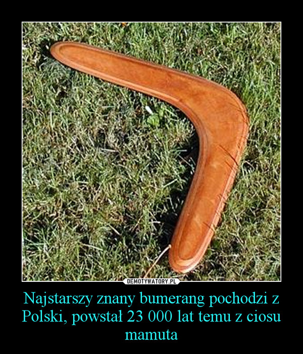 Najstarszy znany bumerang pochodzi z Polski, powstał 23 000 lat temu z ciosu mamuta –  