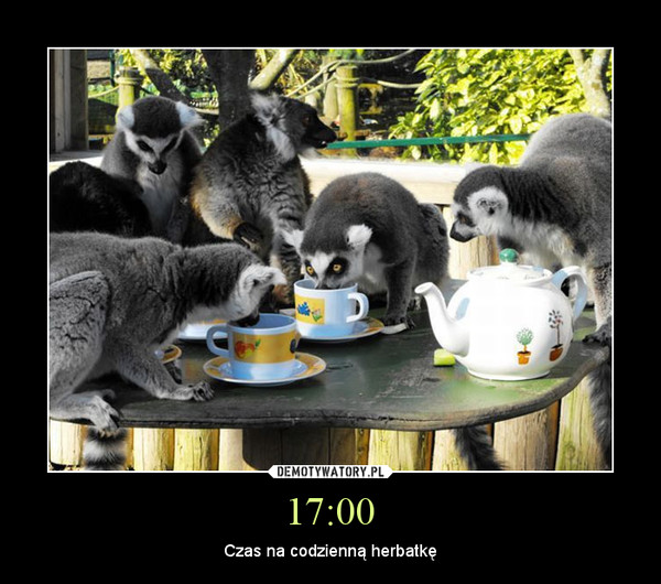 17:00 – Czas na codzienną herbatkę 