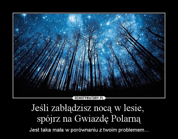 Jeśli zabłądzisz nocą w lesie, spójrz na Gwiazdę Polarną – Jest taka mała w porównaniu z twoim problemem... 