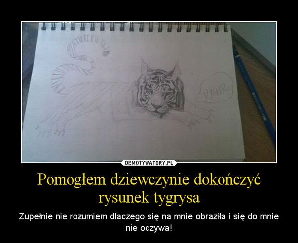 Pomogłem Dziewczynie Dokończyć Rysunek Tygrysa Demotywatorypl