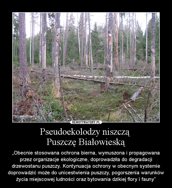 Pseudoekolodzy niszczą 
Puszczę Białowieską