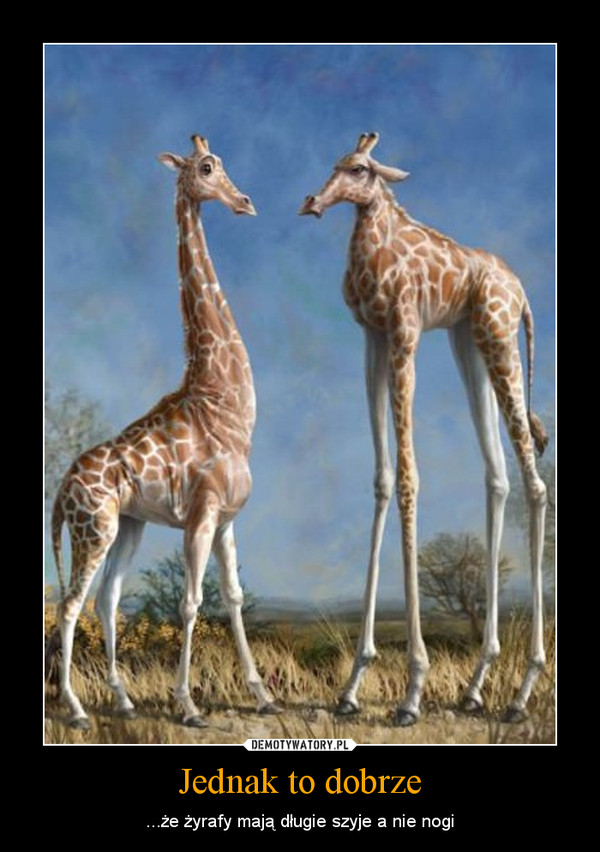 Jednak to dobrze – ...że żyrafy mają długie szyje a nie nogi 
