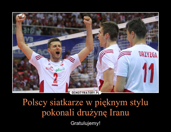 Polscy siatkarze w pięknym stylu pokonali drużynę Iranu