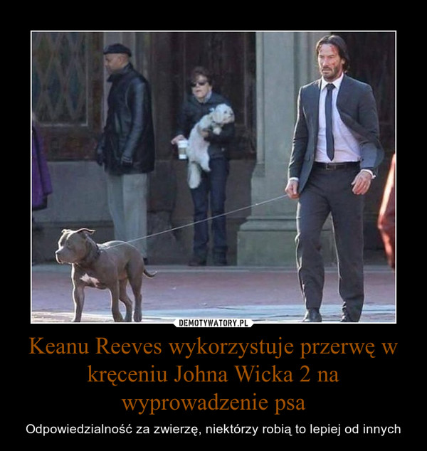 Keanu Reeves wykorzystuje przerwę w kręceniu Johna Wicka 2 na wyprowadzenie psa – Odpowiedzialność za zwierzę, niektórzy robią to lepiej od innych 