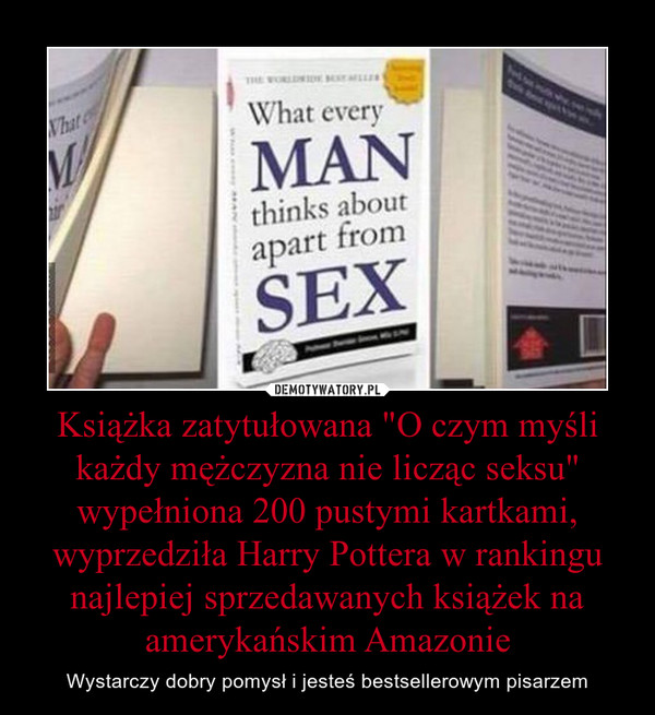 Książka zatytułowana "O czym myśli każdy mężczyzna nie licząc seksu" wypełniona 200 pustymi kartkami, wyprzedziła Harry Pottera w rankingu najlepiej sprzedawanych książek na amerykańskim Amazonie – Wystarczy dobry pomysł i jesteś bestsellerowym pisarzem 