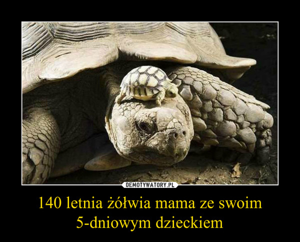 140 letnia żółwia mama ze swoim 5-dniowym dzieckiem –  