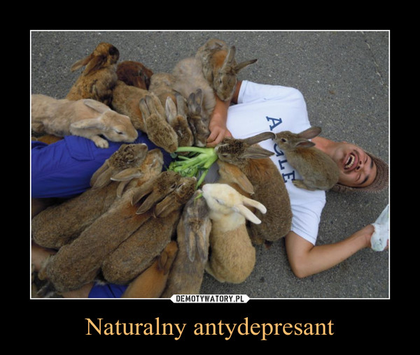 Naturalny antydepresant –  