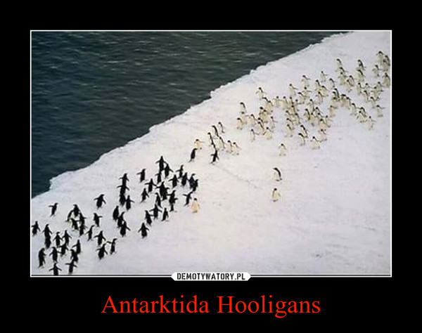 Antarktida Hooligans –  