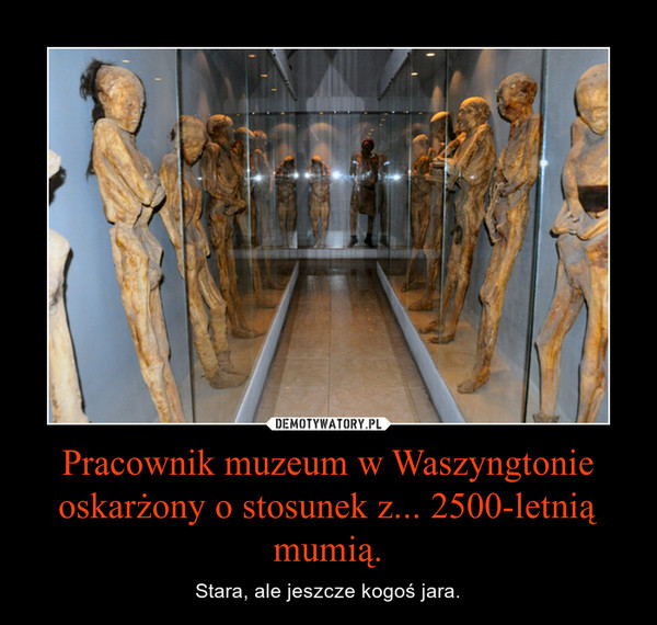 Pracownik muzeum w Waszyngtonie oskarżony o stosunek z... 2500-letnią mumią. – Stara, ale jeszcze kogoś jara. 