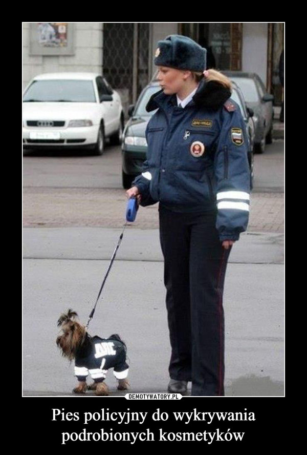 Pies policyjny do wykrywania podrobionych kosmetyków –  