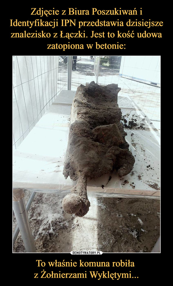 Zdjęcie z Biura Poszukiwań i Identyfikacji IPN przedstawia dzisiejsze znalezisko z Łączki. Jest to kość udowa zatopiona w betonie: To właśnie komuna robiła 
z Żołnierzami Wyklętymi...