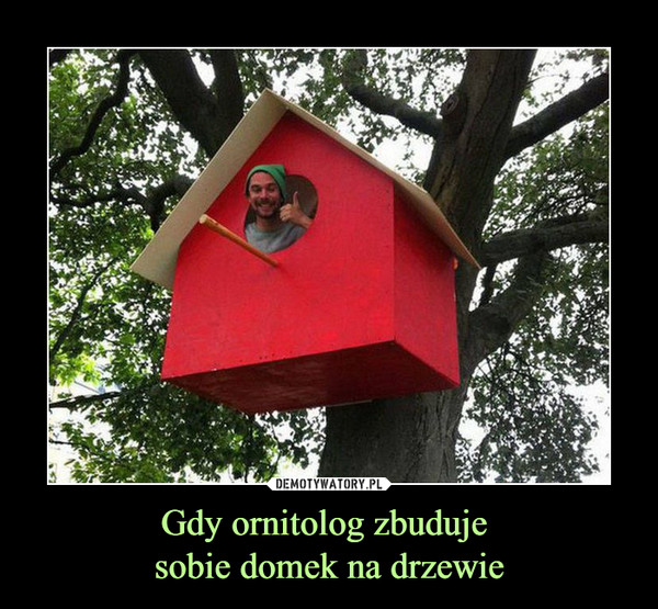 Gdy ornitolog zbuduje 
sobie domek na drzewie