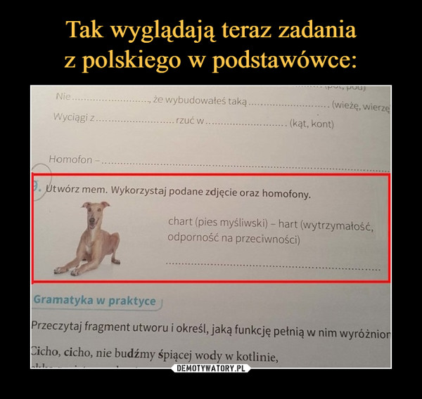  –  Utwórz mem. Wykorzystaj podane zdjęcie oraz homofony.chart (pies myśliwski) - hart (wytrzymałość, odporność i na przeciwności