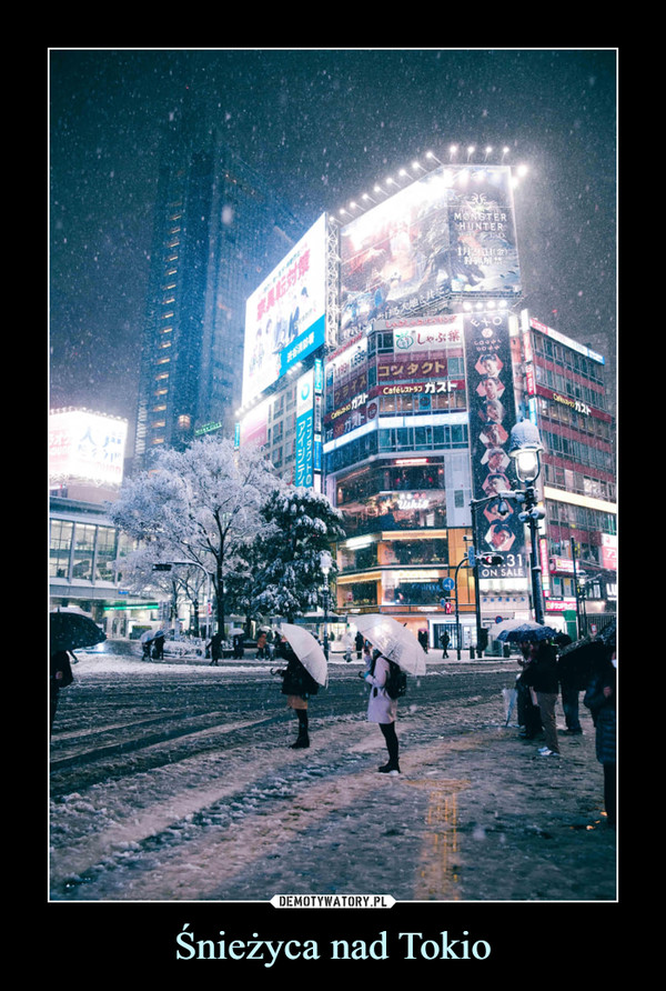 Śnieżyca nad Tokio –  