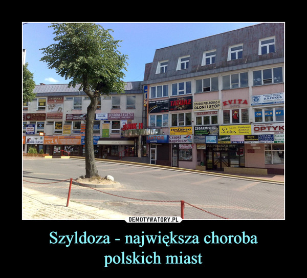 Szyldoza - największa choroba
polskich miast