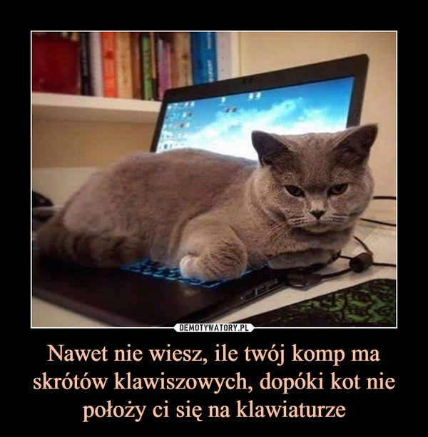 Nawet nie wiesz, ile twój komp ma skrótów klawiszowych, dopóki kot nie położy ci się na klawiaturze