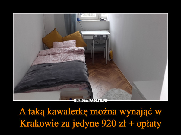 A taką kawalerkę można wynająć w Krakowie za jedyne 920 zł + opłaty –  