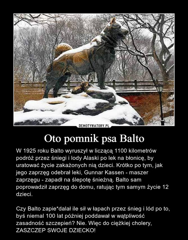 Oto pomnik psa Balto – W 1925 roku Balto wyruszył w liczącą 1100 kilometrów podróż przez śniegi i lody Alaski po lek na błonicę, by uratować życie zakażonych nią dzieci. Krótko po tym, jak jego zaprzęg odebrał leki, Gunnar Kassen - maszer zaprzęgu - zapadł na ślepotę śnieżną. Balto sam poprowadził zaprzęg do domu, ratując tym samym życie 12 dzieci. Czy Balto zapie*dalał ile sił w łapach przez śnieg i lód po to, byś niemal 100 lat później poddawał w wątpliwość zasadność szczepień? Nie. Więc do ciężkiej cholery, ZASZCZEP SWOJE DZIECKO! 