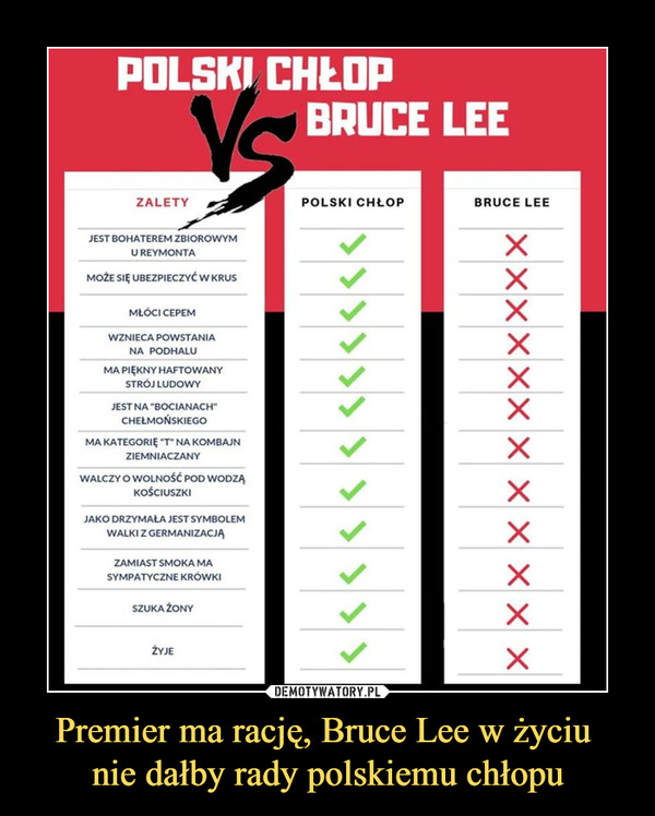 Premier ma rację, Bruce Lee w życiu nie dałby rady polskiemu chłopu –  