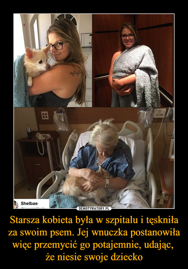 Starsza kobieta była w szpitalu i tęskniła za swoim psem. Jej wnuczka postanowiła więc przemycić go potajemnie, udając, że niesie swoje dziecko –  