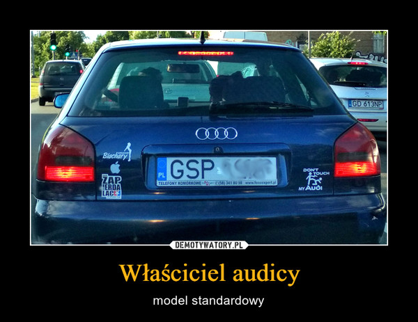 Właściciel audicy – model standardowy 