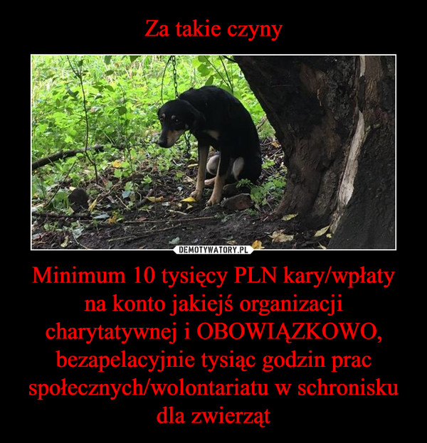 Minimum 10 tysięcy PLN kary/wpłaty na konto jakiejś organizacji charytatywnej i OBOWIĄZKOWO, bezapelacyjnie tysiąc godzin prac społecznych/wolontariatu w schronisku dla zwierząt –  