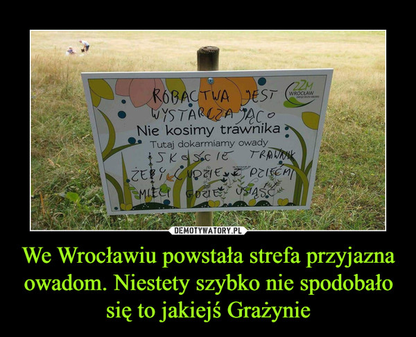 We Wrocławiu powstała strefa przyjazna owadom. Niestety szybko nie spodobało się to jakiejś Grażynie