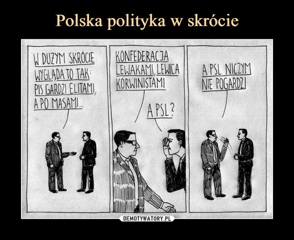 Polska polityka w skrócie