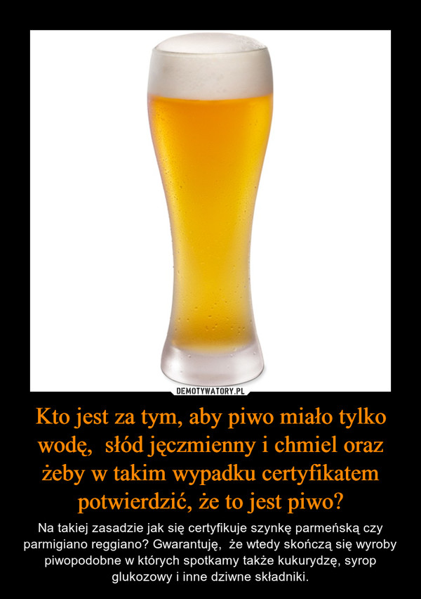 Kto jest za tym, aby piwo miało tylko wodę,  słód jęczmienny i chmiel oraz żeby w takim wypadku certyfikatem potwierdzić, że to jest piwo?