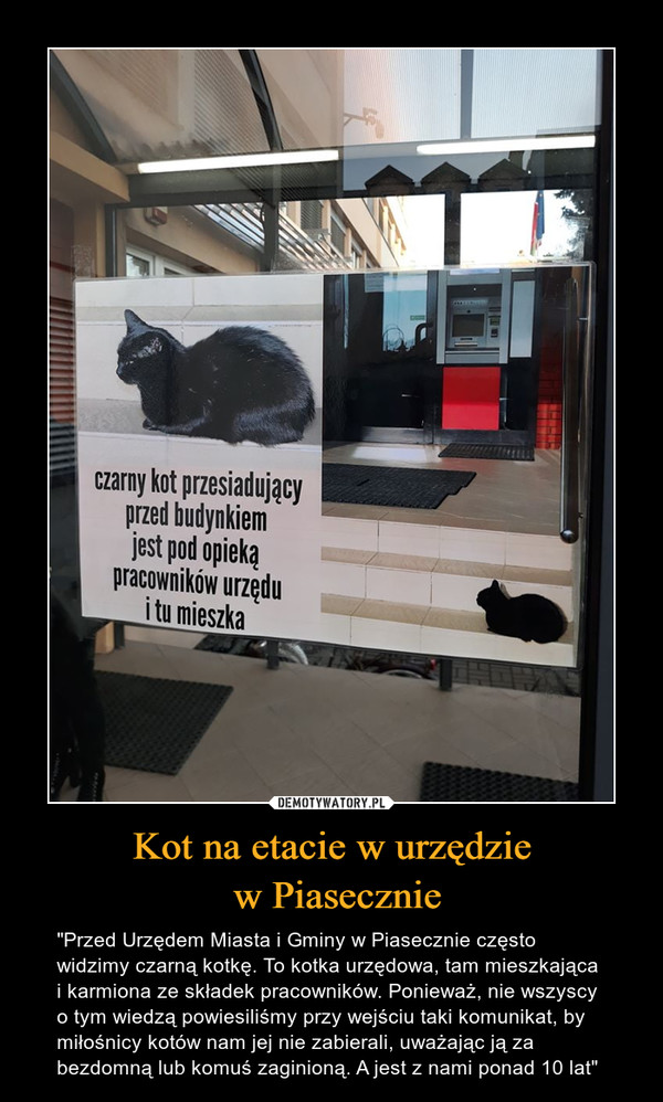 Kot na etacie w urzędzie w Piasecznie – "Przed Urzędem Miasta i Gminy w Piasecznie często widzimy czarną kotkę. To kotka urzędowa, tam mieszkająca i karmiona ze składek pracowników. Ponieważ, nie wszyscy o tym wiedzą powiesiliśmy przy wejściu taki komunikat, by miłośnicy kotów nam jej nie zabierali, uważając ją za bezdomną lub komuś zaginioną. A jest z nami ponad 10 lat" 