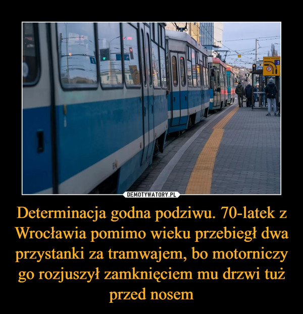 Determinacja godna podziwu. 70-latek z Wrocławia pomimo wieku przebiegł dwa przystanki za tramwajem, bo motorniczy go rozjuszył zamknięciem mu drzwi tuż przed nosem