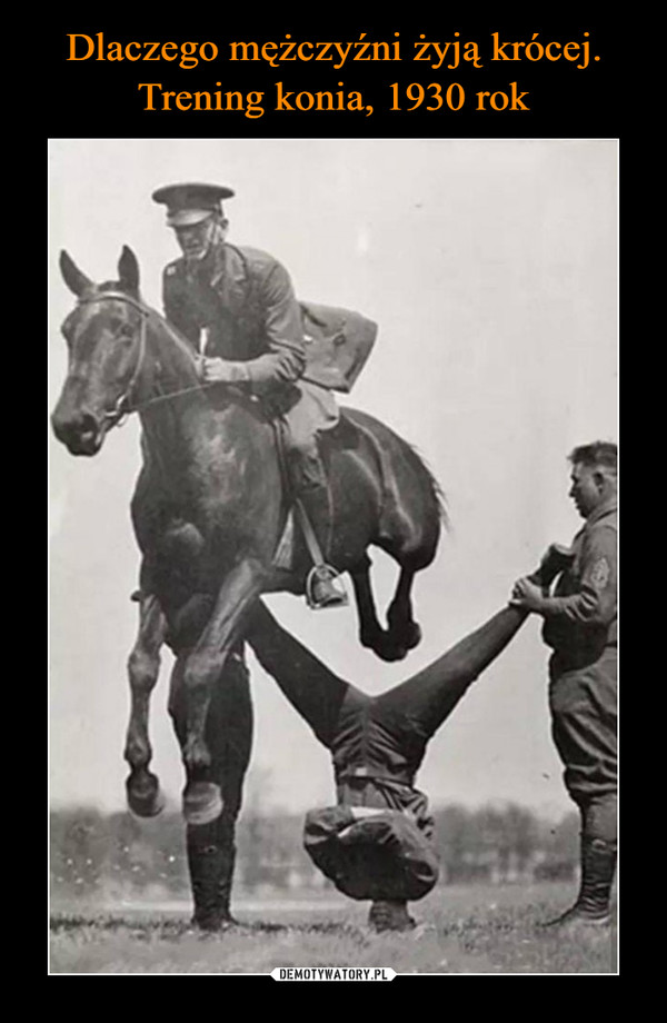 Dlaczego mężczyźni żyją krócej. Trening konia, 1930 rok