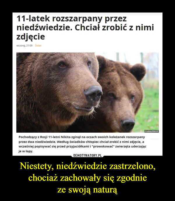 Niestety, niedźwiedzie zastrzelono, chociaż zachowały się zgodnieze swoją naturą –  11-latek rozszarpany przezniedźwiedzie. Chciał zrobić z nimizdjęciewczoraj, 21:09 ŚwiatPixabay/Ellen26Pochodzący z Rosji 11-letni Nikita zginął na oczach swoich koleżanek rozszarpanyprzez dwa niedźwiedzie. Według świadków chłopiec chciał zrobić z nimi zdjęcie, awcześniej popisywać się przed przyjaciółkami i "prowokować" zwierzęta uderzającje w łapy.