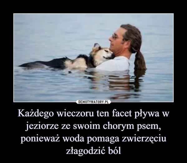 Każdego wieczoru ten facet pływa w jeziorze ze swoim chorym psem, ponieważ woda pomaga zwierzęciu złagodzić ból