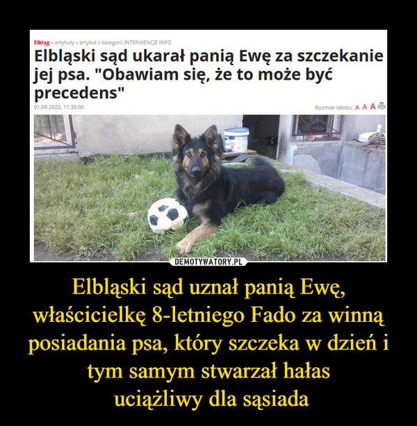 Elbląski sąd uznał panią Ewę, właścicielkę 8-letniego Fado za winną posiadania psa, który szczeka w dzień i tym samym stwarzał hałas
 uciążliwy dla sąsiada