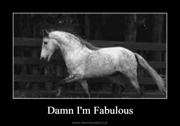 Damn I'm Fabulous –  