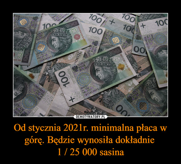 Od stycznia 2021r. minimalna płaca w górę. Będzie wynosiła dokładnie 1 / 25 000 sasina –  