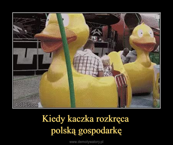 Kiedy kaczka rozkręca polską gospodarkę –  