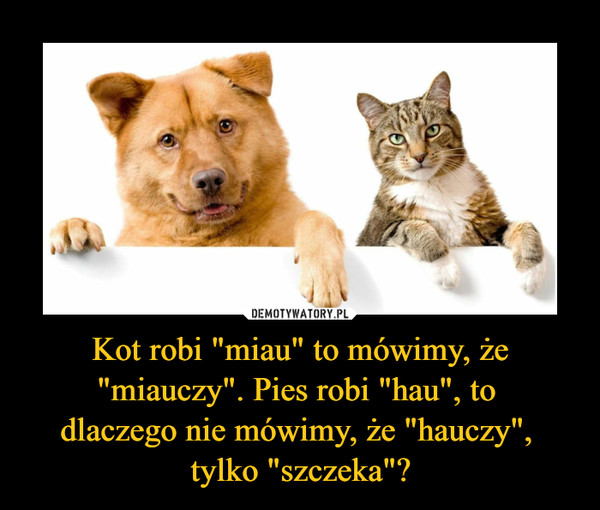 Kot robi "miau" to mówimy, że "miauczy". Pies robi "hau", to dlaczego nie mówimy, że "hauczy", tylko "szczeka"? –  