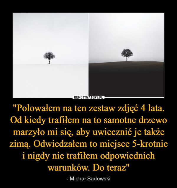 "Polowałem na ten zestaw zdjęć 4 lata. Od kiedy trafiłem na to samotne drzewo marzyło mi się, aby uwiecznić je także zimą. Odwiedzałem to miejsce 5-krotnie i nigdy nie trafiłem odpowiednich warunków. Do teraz" – - Michał Sadowski 