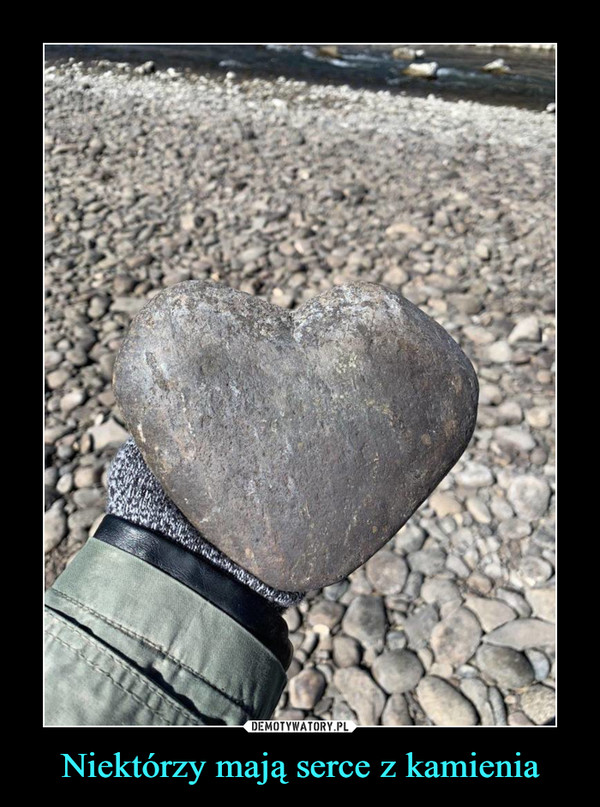 Niektórzy mają serce z kamienia –  