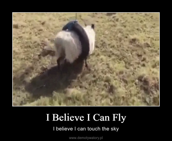 I Believe I Can Fly – I believe I can touch the sky 