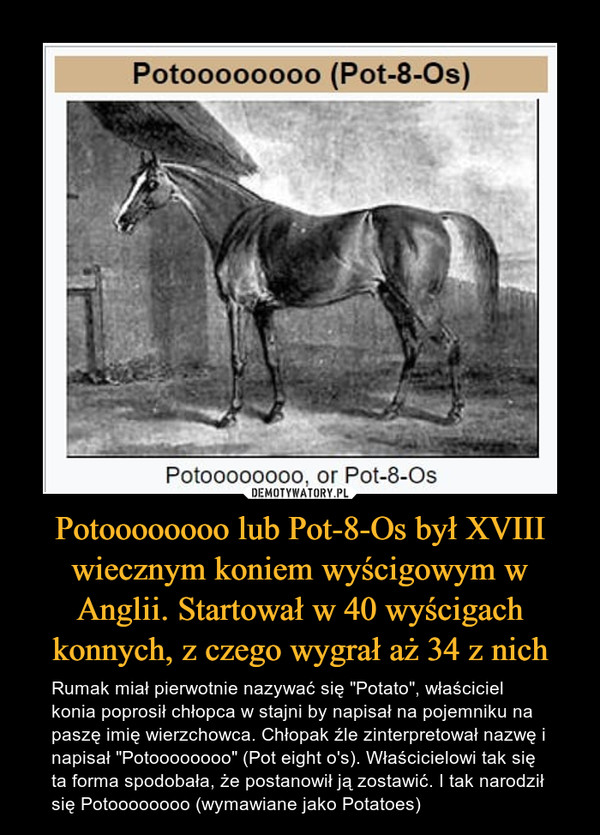 Potoooooooo lub Pot-8-Os był XVIII wiecznym koniem wyścigowym w Anglii. Startował w 40 wyścigach konnych, z czego wygrał aż 34 z nich