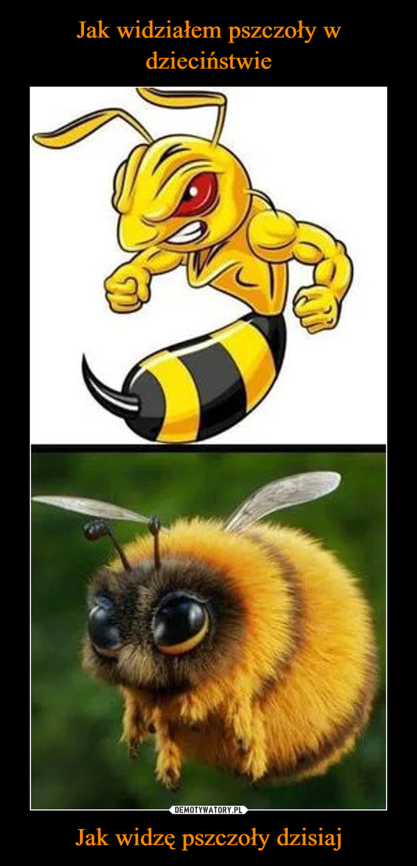 Jak widziałem pszczoły w dzieciństwie Jak widzę pszczoły dzisiaj