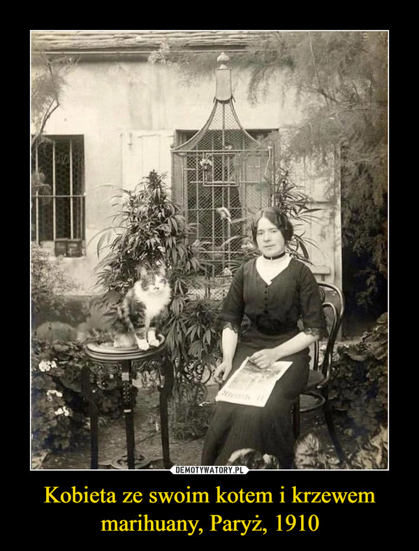 Kobieta ze swoim kotem i krzewem marihuany, Paryż, 1910 –  